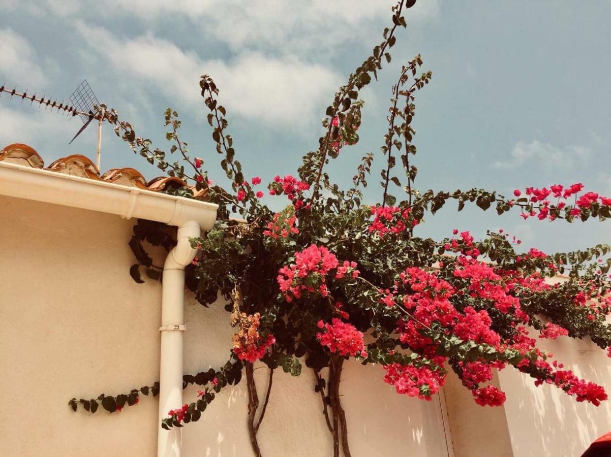 Lovely Apartment Old Town เดเนีย ภายนอก รูปภาพ